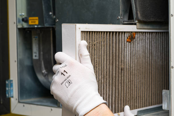 Best Dryer Vent Cleaning Services  in St Martinville, LA